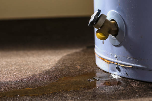 Best Flood restoration services  in Dalhart, TX