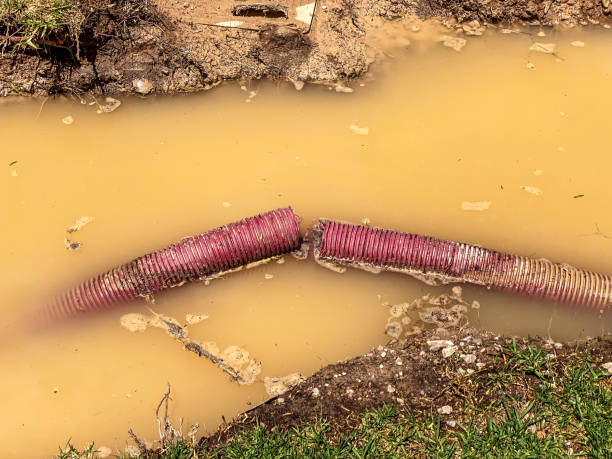 Best Water damage restoration near me  in Dalhart, TX